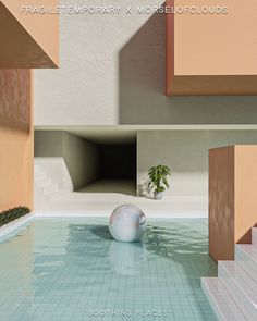 an empty swimming pool with a plant in it