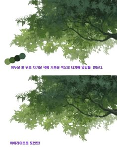 two trees with green leaves and the words in korean are shown above them, along with another tree