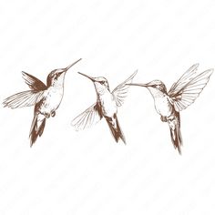 three hummingbirds are flying in the air