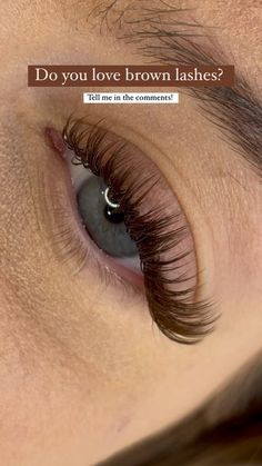 Lash Highlights, Blonde Lash Extensions, Half Set Lash Extensions, Brown Wispy Lash Extensions