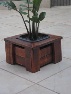 a potted plant sitting on top of a wooden box