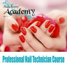 Orange Wood, Diploma Courses, Hand Massage, Nail Health, Velvet Matte, Anatomy And Physiology, Nail Technician, Professional Nails, Gel Color