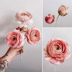 three pictures of pink flowers being held by someone's hand