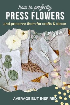 the cover of how to perfectly press flowers and preserve them for crafts & decor by average but inspired