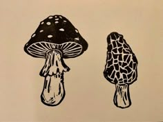 two black and white drawings of mushrooms on a sheet of paper, one with a giraffe print