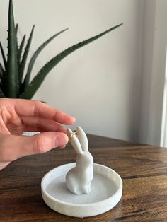 a hand is holding a tiny white object on a wooden table next to a potted plant