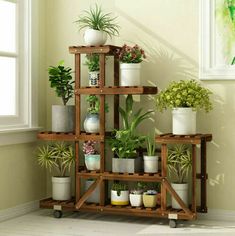 a wooden shelf filled with potted plants next to a window