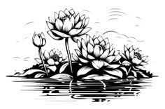 black and white drawing of water lilies on the edge of a body of water