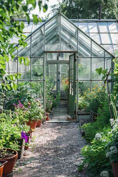 a green house with lots of plants in the garden and gravel path leading to it