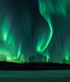 the aurora bore is shining brightly in the night sky over trees and snow covered ground