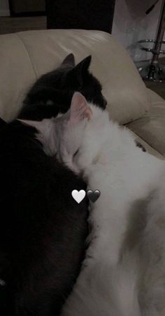 two black and white cats sleeping on top of a leather couch next to each other