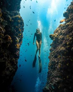 Life Below Water, Freediving Photography, Snorkeling Pictures, Ocean Diving, Swimming Pictures, Free Dive, Scuba Tank, Diving Swimming, Sea Diving