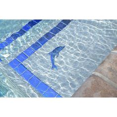 a dolphin swimming in a pool with blue tiles on the floor and water around it