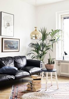 a living room with black leather couches and potted plants on the table in front of it