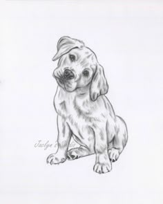 a pencil drawing of a dog sitting down