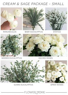 Playful Wedding, Lilac Wedding Bouquet, Fresh Wedding Flowers, Flowers And Greenery, Wedding Classy, Sage Wedding, Lilac Wedding, Sage Green Wedding, בר מצווה