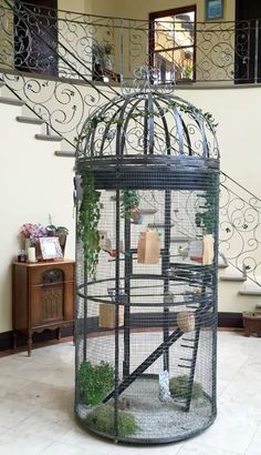 a large bird cage with plants in it on the floor next to a stair case