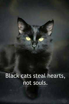 a black cat with yellow eyes sitting on top of a table next to a quote