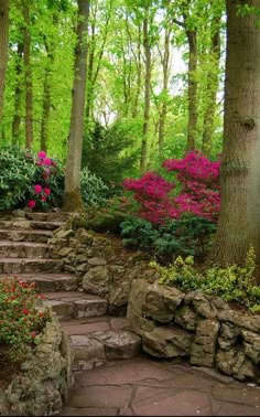 a stone path in the middle of a forest with flowers growing on it's sides