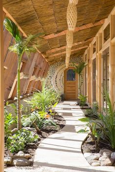 the walkway is lined with tropical plants and palm trees, along with other greenery