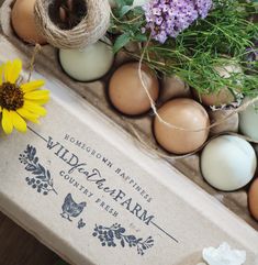 an egg carton filled with eggs and flowers