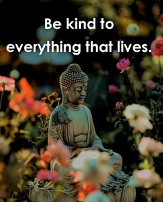 Buddha Quotes to Bring Peace into Your Life