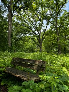 sitting- nature- bench- green Collage Furniture, Bench Photography, Whiskey Business, Hidden Forest, Personal Investigation, Short Play, Project Board, Grass Field