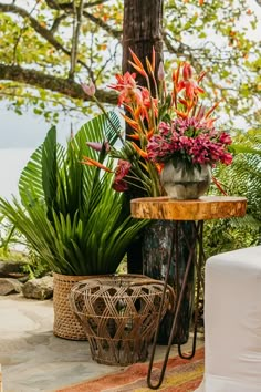 some plants are sitting on a table outside