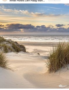 the beach is covered in white sand and tall grass as the sun sets over the ocean