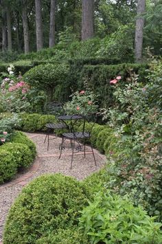 a garden with lots of green bushes and flowers