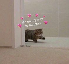 a cat that is looking through a hole in the floor with hearts on it's side