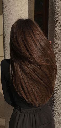 Rich Chocolate Brown Hair, Pelo Cafe, Warm Brown Hair, Chestnut Brown Hair, Brown Hair Shades