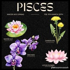 a poster with different flowers and plants on it