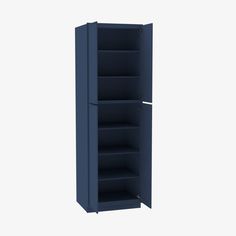 a tall blue cabinet with shelves on each side