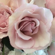 pink and white flowers are in a vase