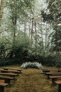 an empty wooden bench in the middle of a forest