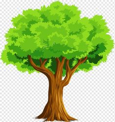 a tree with green leaves on the top and bottom branches, transparent background png