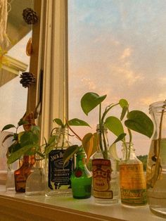 a window sill filled with lots of bottles and plants