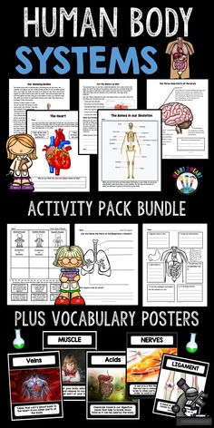 the human body systems activity pack with pictures