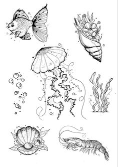 an ink drawing of sea animals and fish