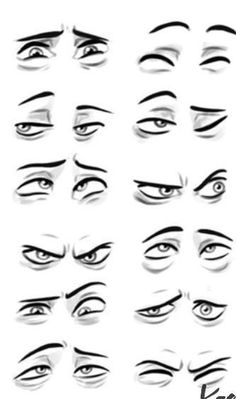 an image of different types of eyes