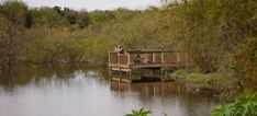 two people are standing on a wooden bridge over a body of water with trees in the background