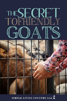 the secret to friendly goats by simple living country gal, paperback - front cover image