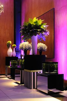 a room filled with vases and flowers on top of black tables in front of a purple wall