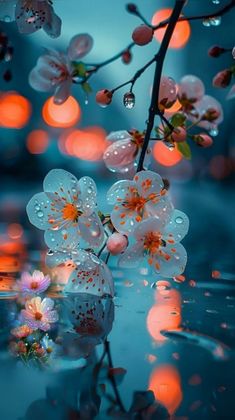 an image of flowers in the water with bubbles on it and blurry lights behind them