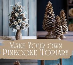 pinecone trees are sitting on a table with the words make your own pine cone topiary