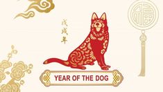 Chinese Zodiac 2018: The Year Of The Dog And What It Means - Dogtime Year Of The Dog Tattoo, Chinese Zodiac Tattoo, Dog Zodiac, Palmistry Reading, Chinese Horoscope, Zodiac Signs Symbols