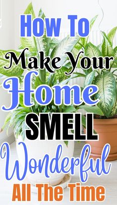 a potted plant with the words how to make your home smell wonderful all the time