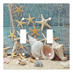 seashells and starfish on the beach light switch plate cover with sea shells