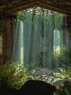 sunlight streaming through the window into an abandoned building with plants growing out of it's windows